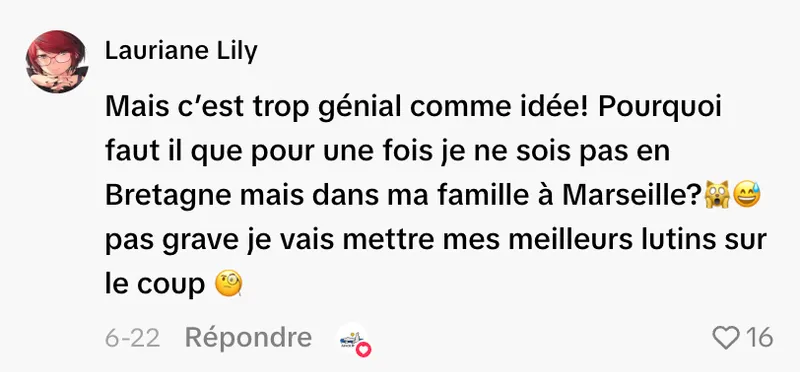 Commentaire d’internaute — campagne Armor Délices
