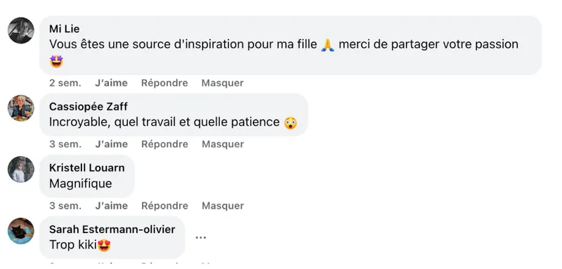 Commentaire d’internaute — campagne Le Ster