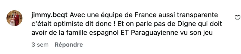 Commentaire d’internaute — campagne Savéol