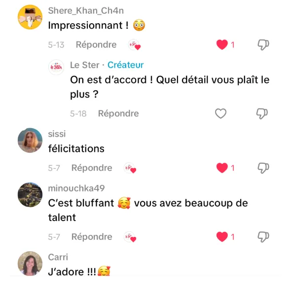 Commentaire d’internaute — campagne Le Ster