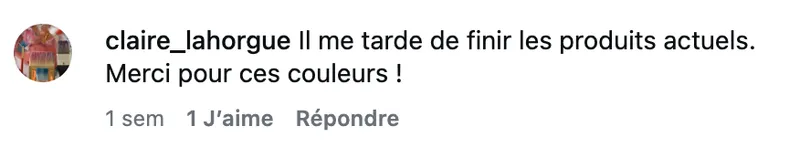 Commentaire d’internaute — campagne Briochin