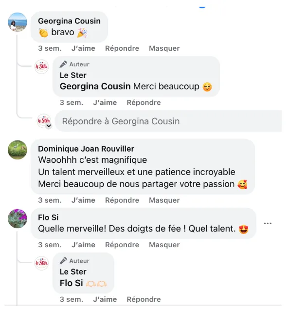 Commentaire d’internaute — campagne Le Ster