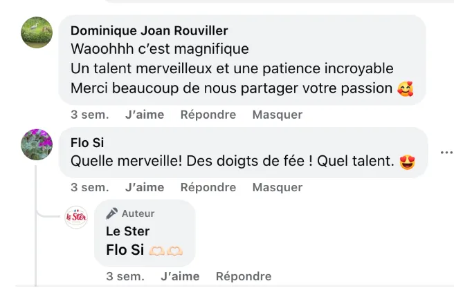 Commentaire d’internaute — campagne Le Ster