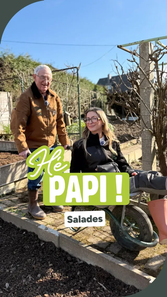 Magasin Vert — extrait de campagne 5