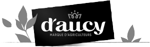 d’aucy